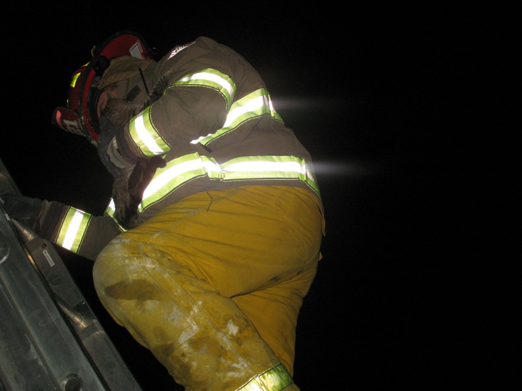 loading Gallery/Action/We Dont Do Cats - 7jan10/fullsize/100107fr Todd 014.JPG... or select a thumbnail